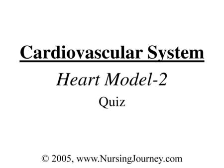 Cardiovascular System