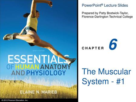 6 The Muscular System - #1.