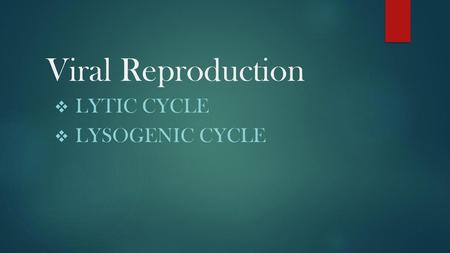 Lytic Cycle Lysogenic cycle