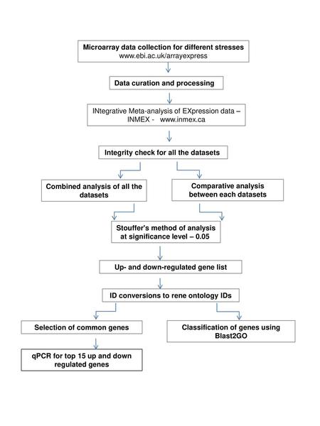 Microarray data collection for different stresses