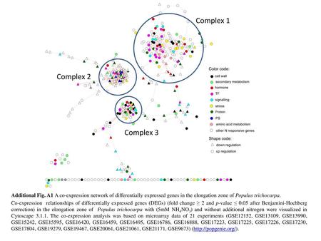 Complex 1 Complex 2 Complex 3