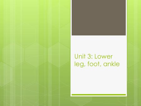 Unit 3: Lower leg, foot, ankle