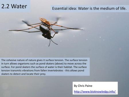 Essential idea: Water is the medium of life.