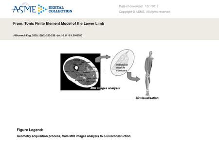 From: Tonic Finite Element Model of the Lower Limb