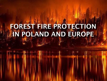 Forest fire protection in Poland and Europe