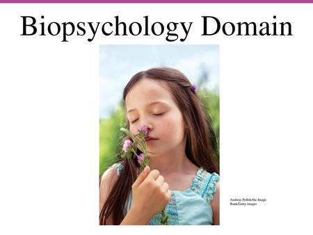 Biopsychology Domain Andreas Pollok/the Image Bank/Getty images.