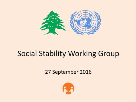 Social Stability Working Group 27 September 2016