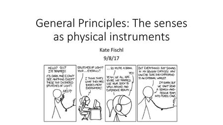 General Principles: The senses as physical instruments