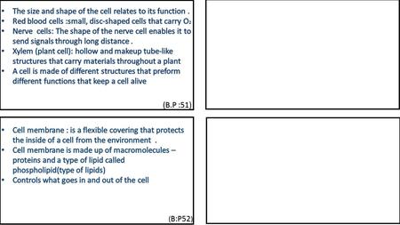 (B.P :51) ( B:P52 ).