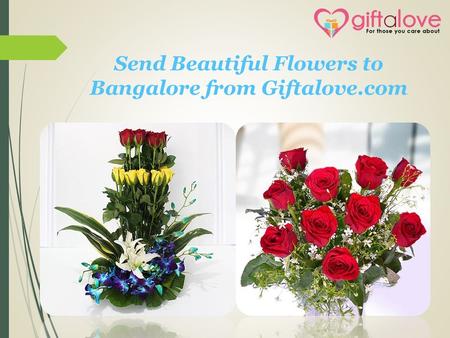 Send Beautiful Flowers to Bangalore from Giftalove.com.