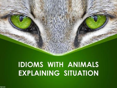 IDIOMS WITH ANIMALS EXPLAINING SITUATION