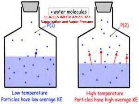 IMFs in Action, and Vaporization and Vapor Pressure