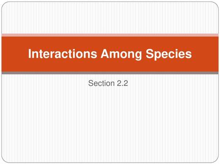 Interactions Among Species