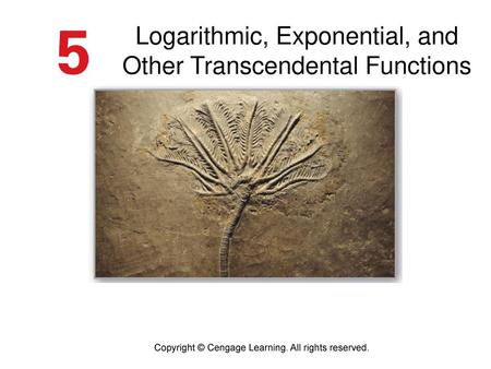 Logarithmic, Exponential, and Other Transcendental Functions