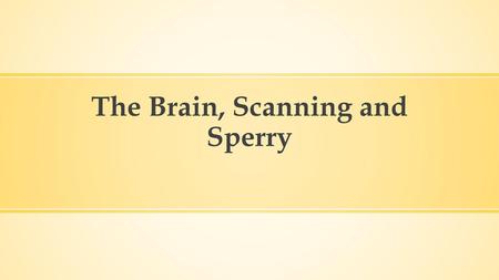 The Brain, Scanning and Sperry