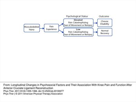 Figure 1 The fear-avoidance model for musculoskeletal pain modified from Leeuw et al.9 From: Longitudinal Changes in Psychosocial Factors and Their Association.