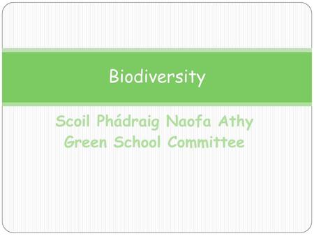 Scoil Phádraig Naofa Athy Green School Committee