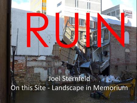 Joel Sternfeld On this Site - Landscape in Memorium