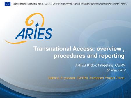 Transnational Access: overview , procedures and reporting