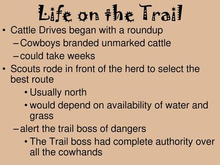 Life on the Trail Cattle Drives began with a roundup