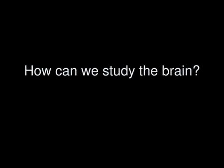 How can we study the brain?