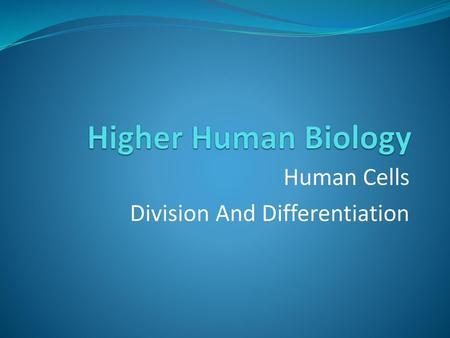 Human Cells Division And Differentiation