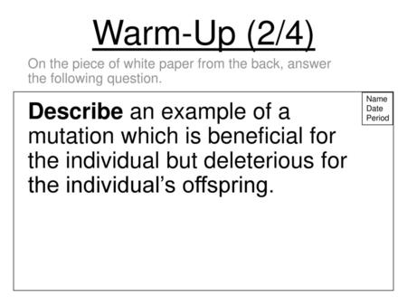 Warm-Up (2/4) On the piece of white paper from the back, answer the following question. Name Date Period Describe an example of a mutation which is beneficial.