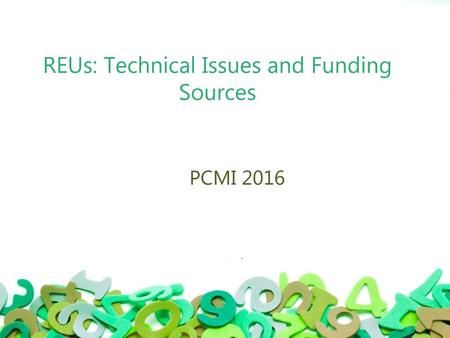 REUs: Technical Issues and Funding Sources