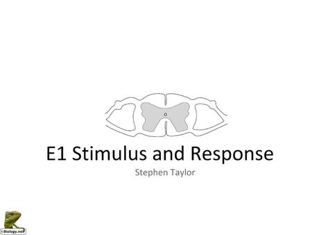 Stimulus & Response Assessment Statements Obj. E1.1 1 E1.2 3 E1.3 E1.4