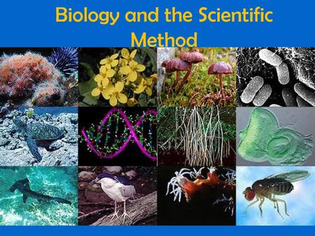 Biology and the Scientific Method