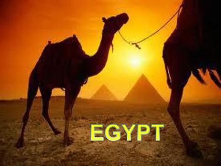 EGYPT EGYPT EGYPT.