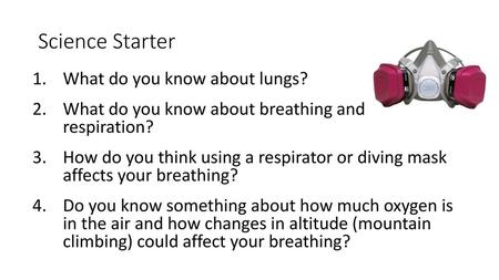 Science Starter What do you know about lungs?