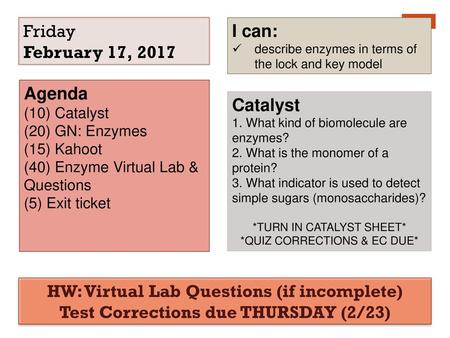 HW: Virtual Lab Questions (if incomplete)