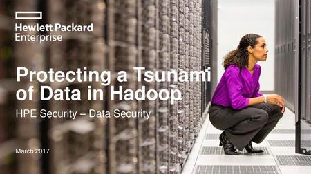 Protecting a Tsunami of Data in Hadoop