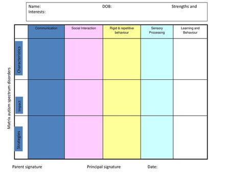 Name: DOB: Strengths and Interests: