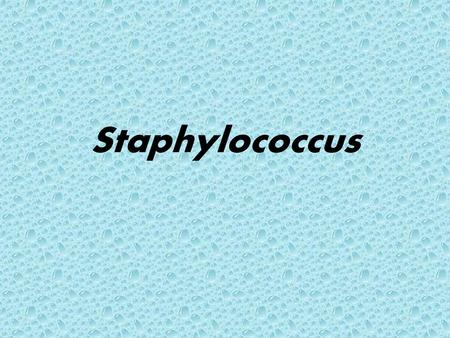 Staphylococcus.