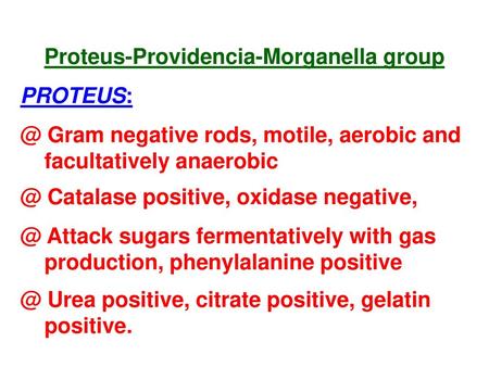 Proteus-Providencia-Morganella group