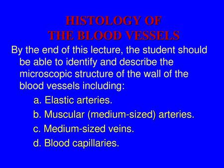 HISTOLOGY OF THE BLOOD VESSELS