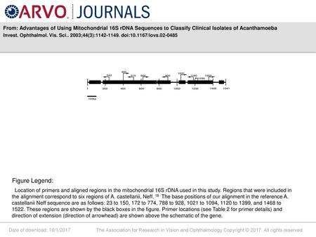 From: Advantages of Using Mitochondrial 16S rDNA Sequences to Classify Clinical Isolates of Acanthamoeba Invest. Ophthalmol. Vis. Sci.. 2003;44(3):1142-1149.