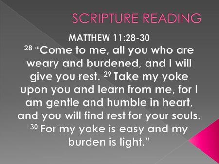 SCRIPTURE READING MATTHEW 11:28-30