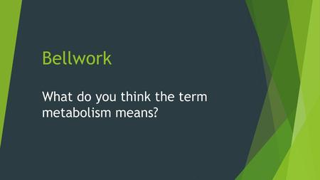 What do you think the term metabolism means?