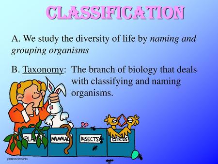 Classification A. We study the diversity of life by naming and grouping organisms B. Taxonomy: The branch of biology that deals with classifying and naming.