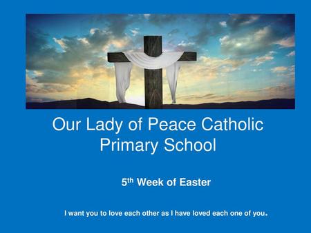 Our Lady of Peace Catholic Primary School