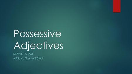 Possessive Adjectives