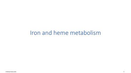 Iron and heme metabolism