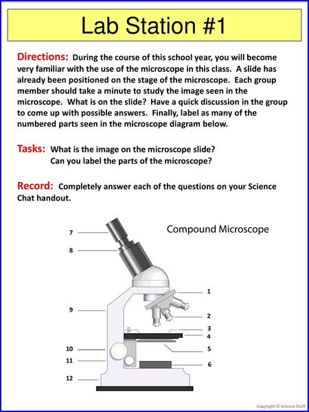 Lab Station #1 Directions: During the course of this school year, you will become very familiar with the use of the microscope in this class. A slide.