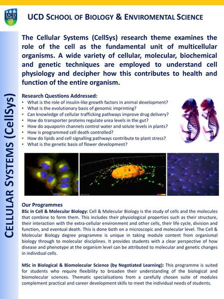 CELLULAR SYSTEMS (CellSys)