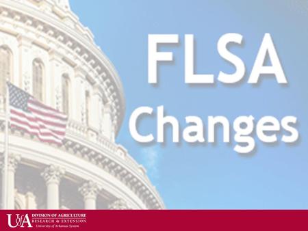 Agenda Fair Labor Standards Act (FLSA)