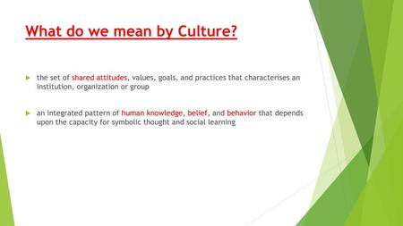 What do we mean by Culture?