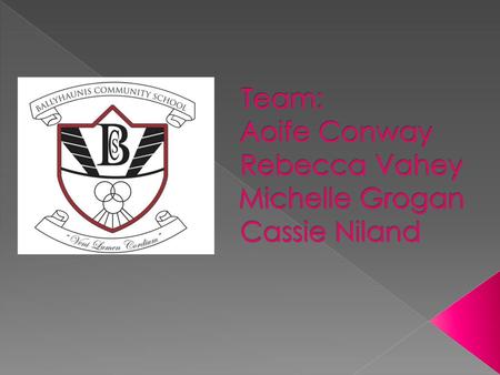 Team: Aoife Conway Rebecca Vahey Michelle Grogan Cassie Niland